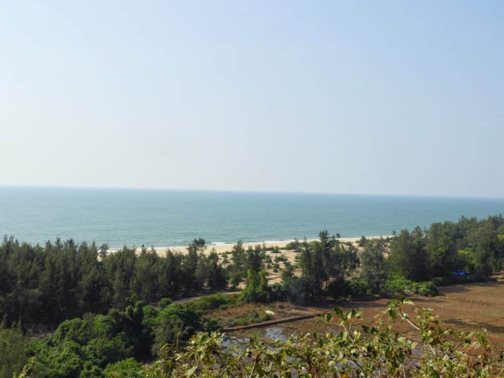 View of the Arabian Sea from Apsarakonda
