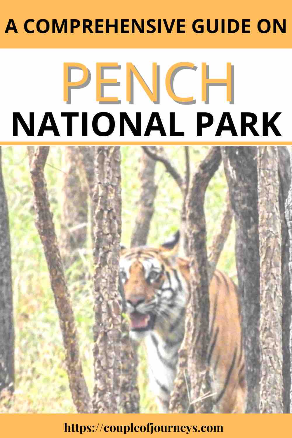 pench safari dates