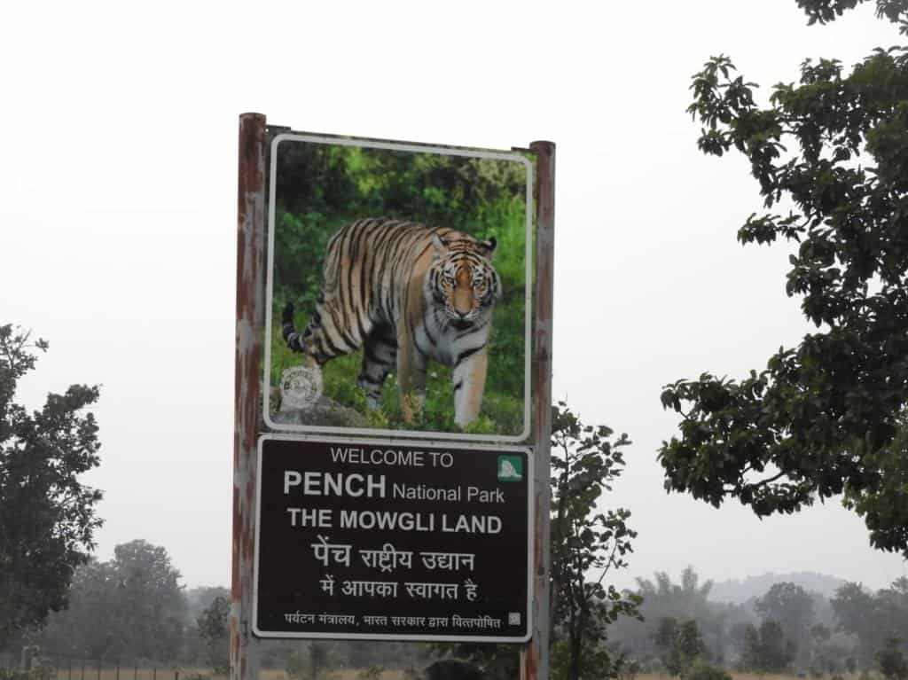 Pench National Park Trip Planning