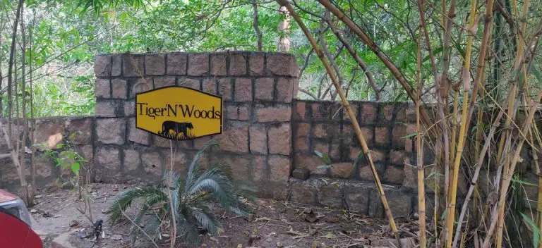 Tiger N Woods Resort, Pench: Best Resort in Pench? (First-Hand Review)