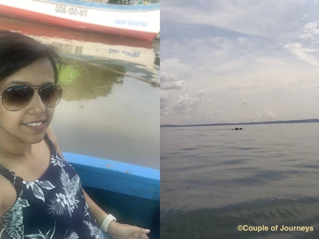 Dolphin Watching in Goa