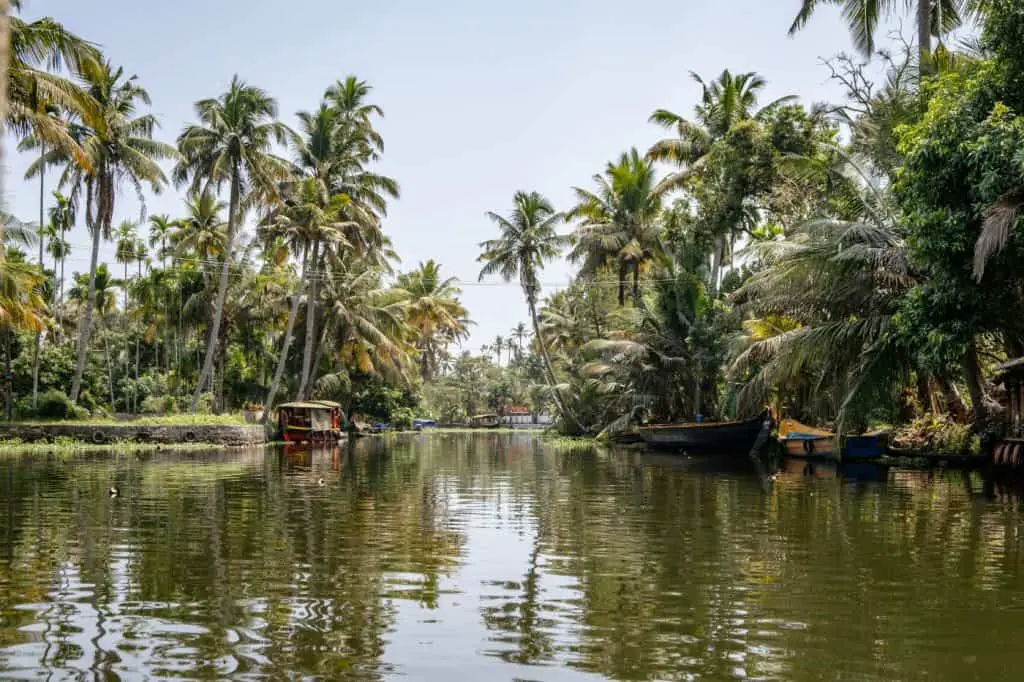 Nestled amongst coconut farms, Alleppey boasts some of the most serene backwaters, making it a relaxing honeymoon destination.