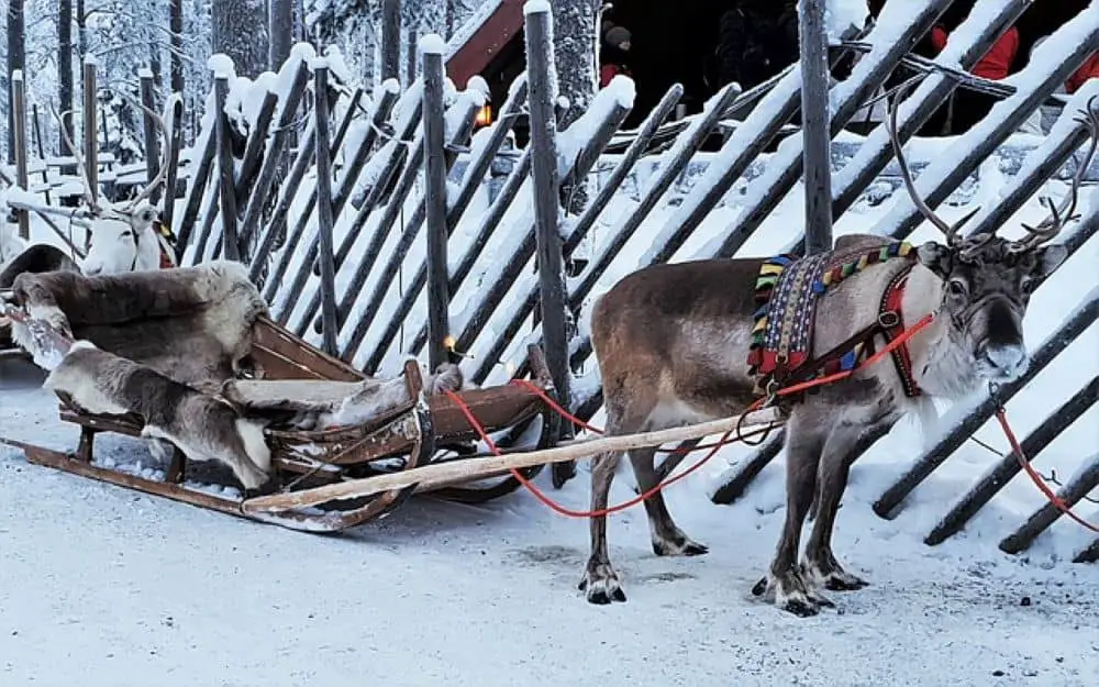 Do not miss out on reindeer sledging Rovaniemi, in the Arctic Circle known as the original town of Santa Claus.