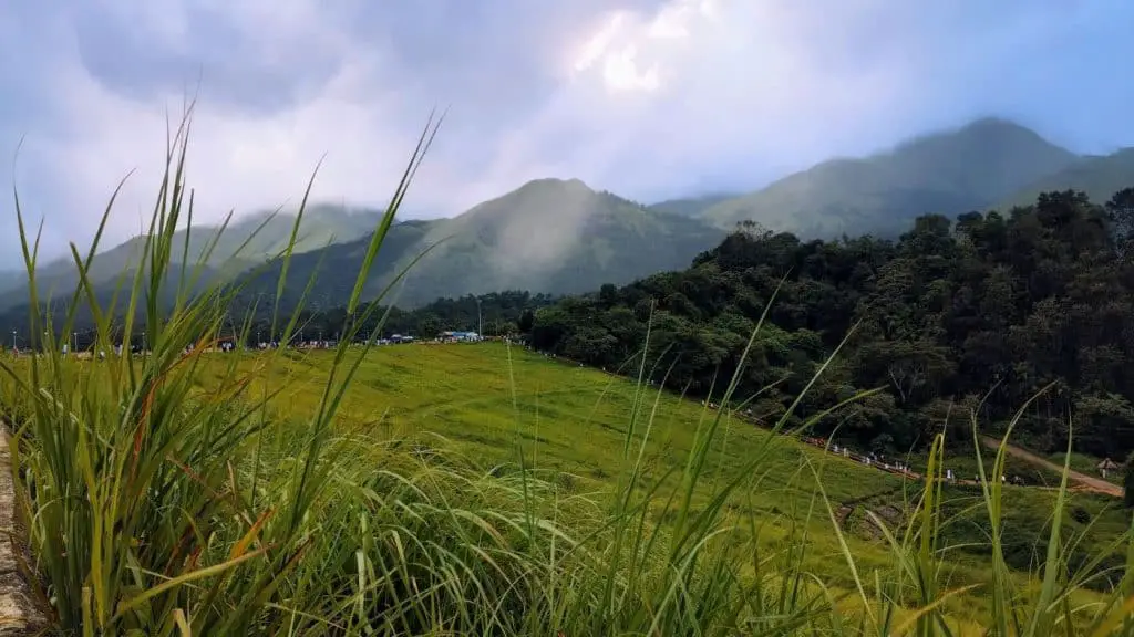 One can enjoy the lush greenery and diverse wildlife, here in Wayanad. Add this green paradise to your list of honeymoon destinations.