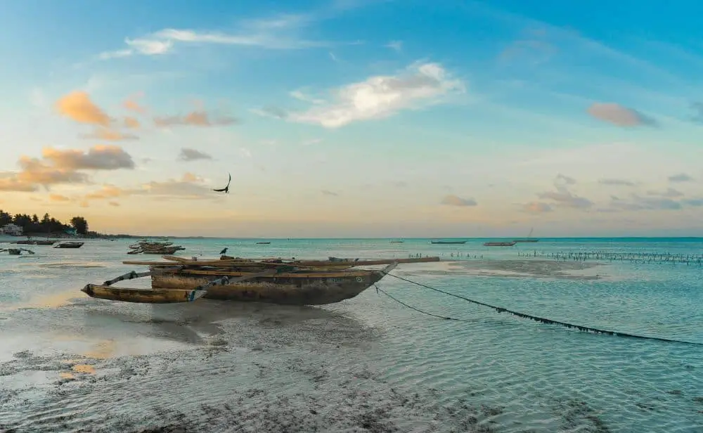 Enjoy the tropical life on the island of Zanzibar.