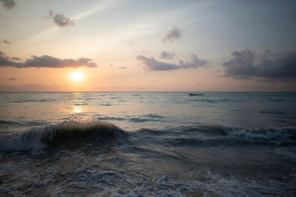 Watch a romantic sundown with your partner by the mesmerizing beaches of Zanzibar. 