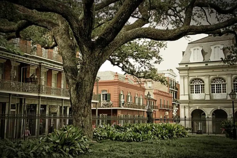 Stroll through the rustic old lanes of New Orleans and experience the best of jazz music.  