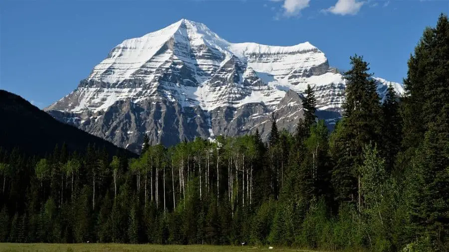 An image of the snow capped Canadian Rockies surrounded by pine trees