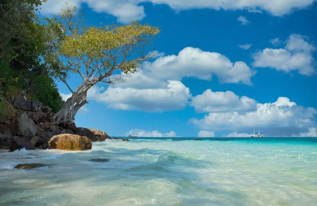 A lone tree leans gracefully over the rocky shoreline at Sveta Nedjelja Beach, with gentle waves lapping against the shore and a sailboat floating in the turquoise sea under a sky dotted with fluffy white clouds, evoking the charm of Croatia travel beaches